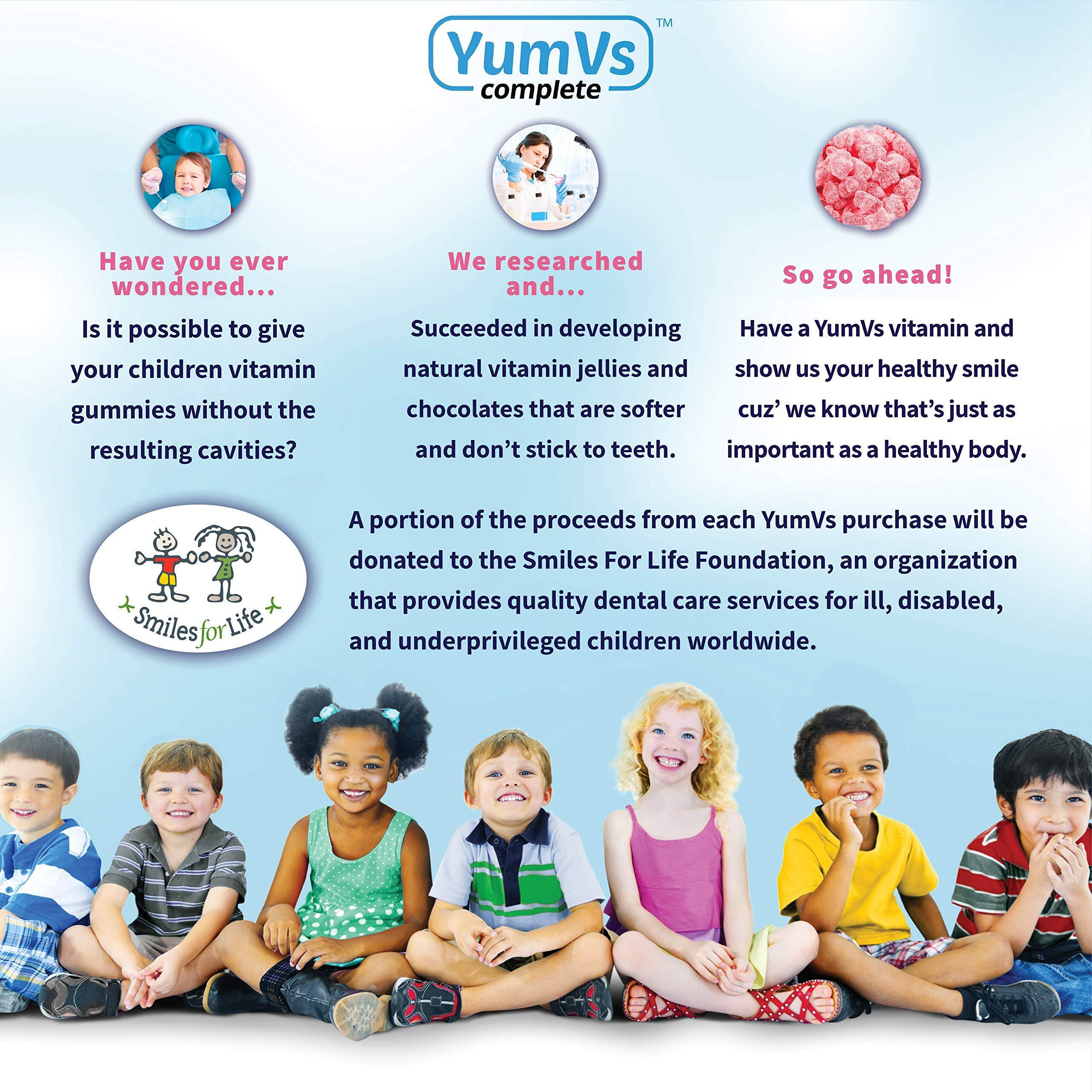 Yum Vs - Multivitamin Adults Iron - 1 Each - 60 ct(D0102H5NIKX)