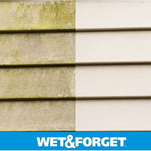 MOLD&MILDEW REMOVER 48OZ (Pack of 1)