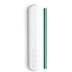 SOMA Glass Straw with Silicone Lined Travel Case and Cleaning Tool, 8-inch, Teal (501-13-01)