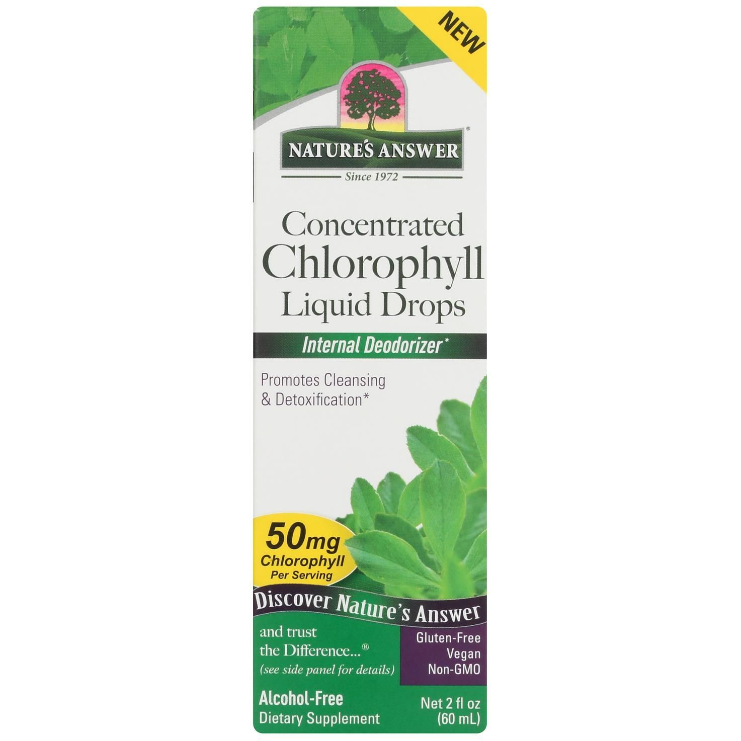Natures Answer - conc Drop chlrphyl Liquid - 1 Each-2 Fz(D0102H54BN8)
