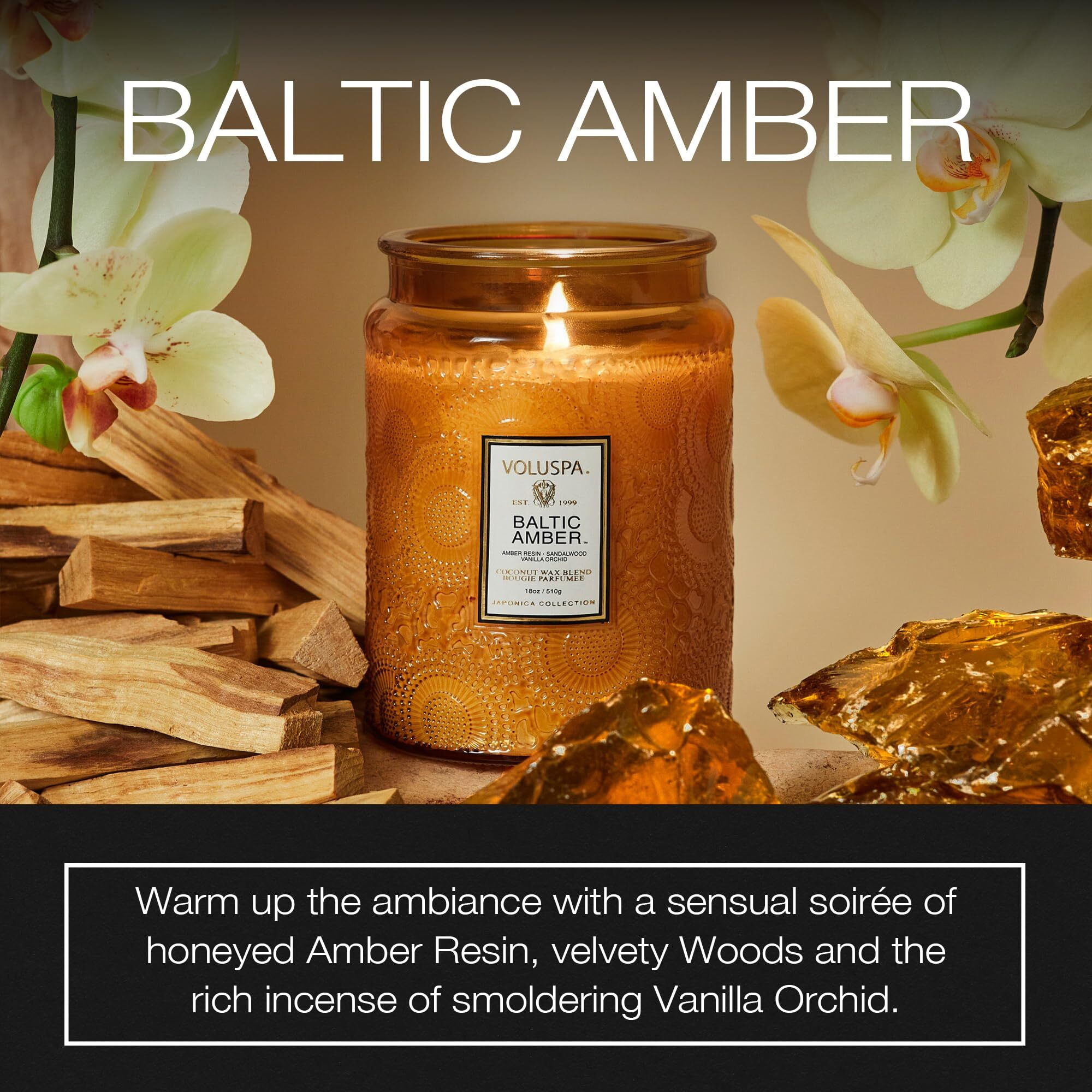 Baltic Amber - Large by Voluspa for Unisex - 18 oz Candle