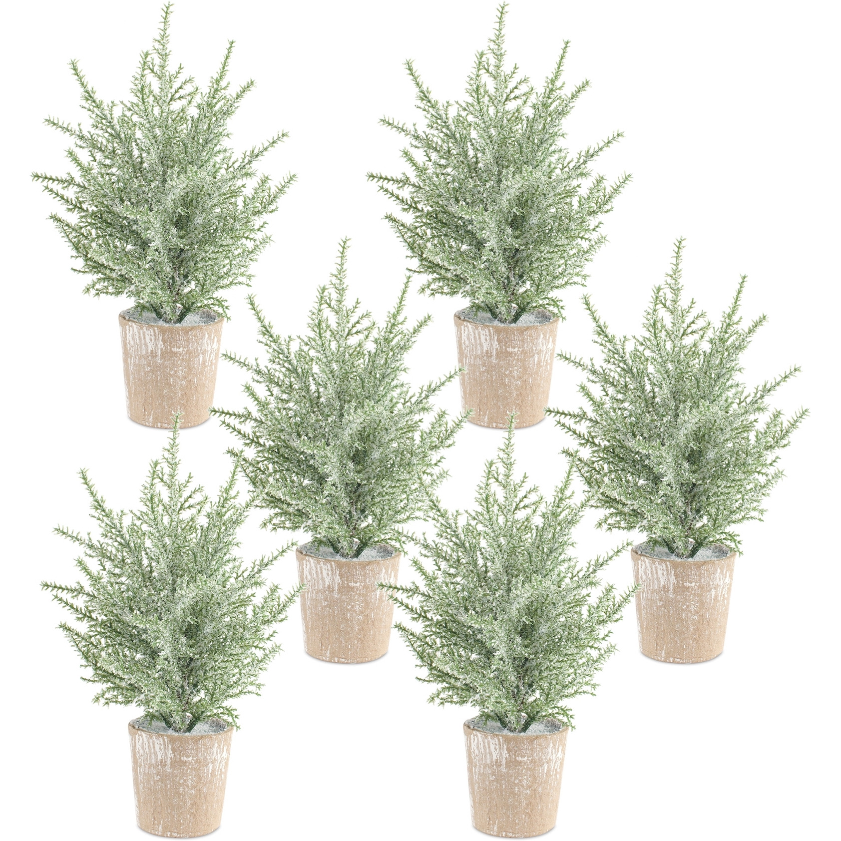 Potted Icy Pine Tree (Set of 6)