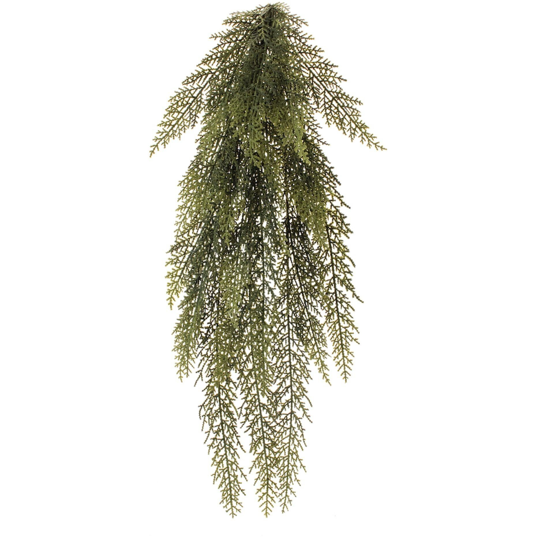 Variegated Pine Vine 31&quotL