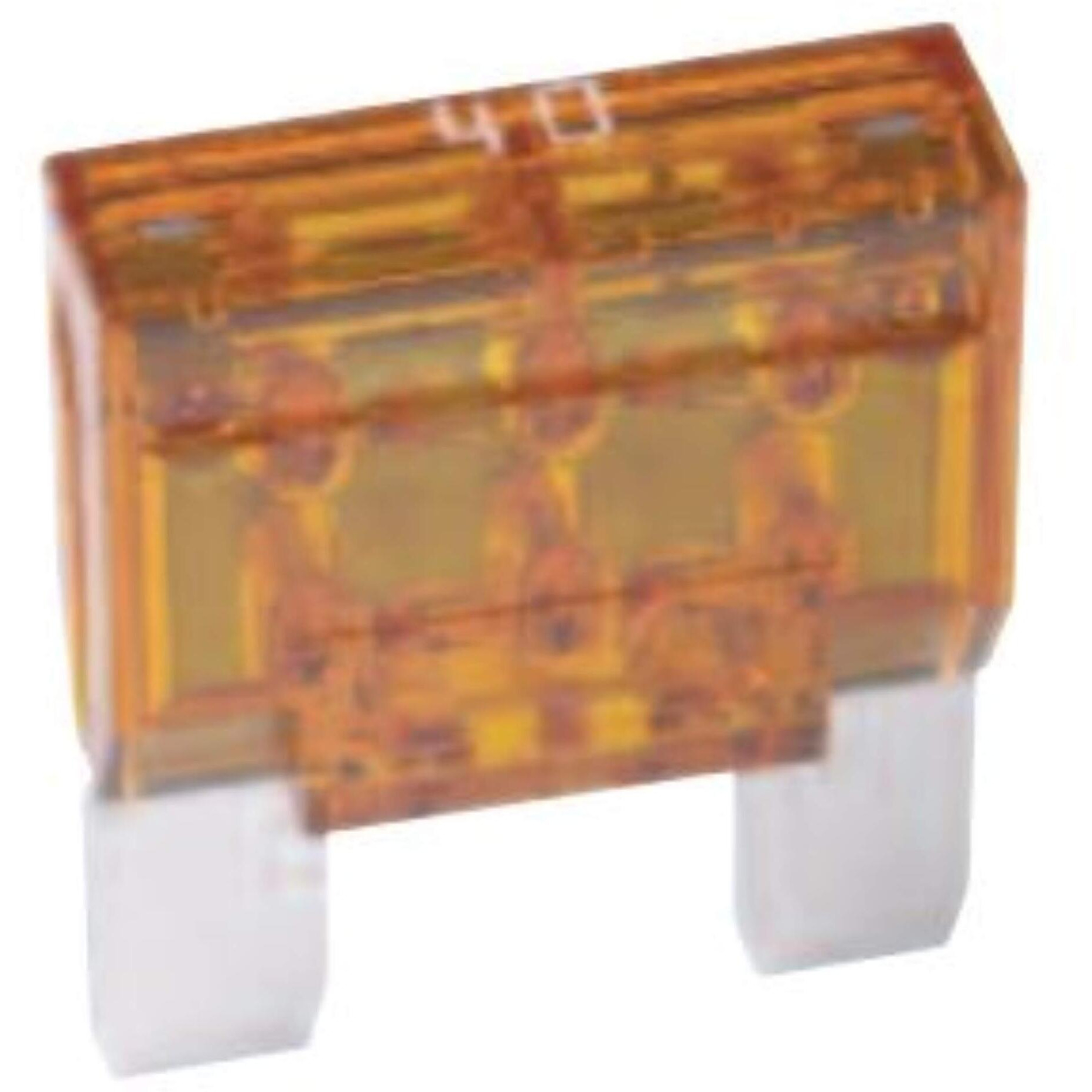 1PK BP/MAX-20 MAXI-FUSE