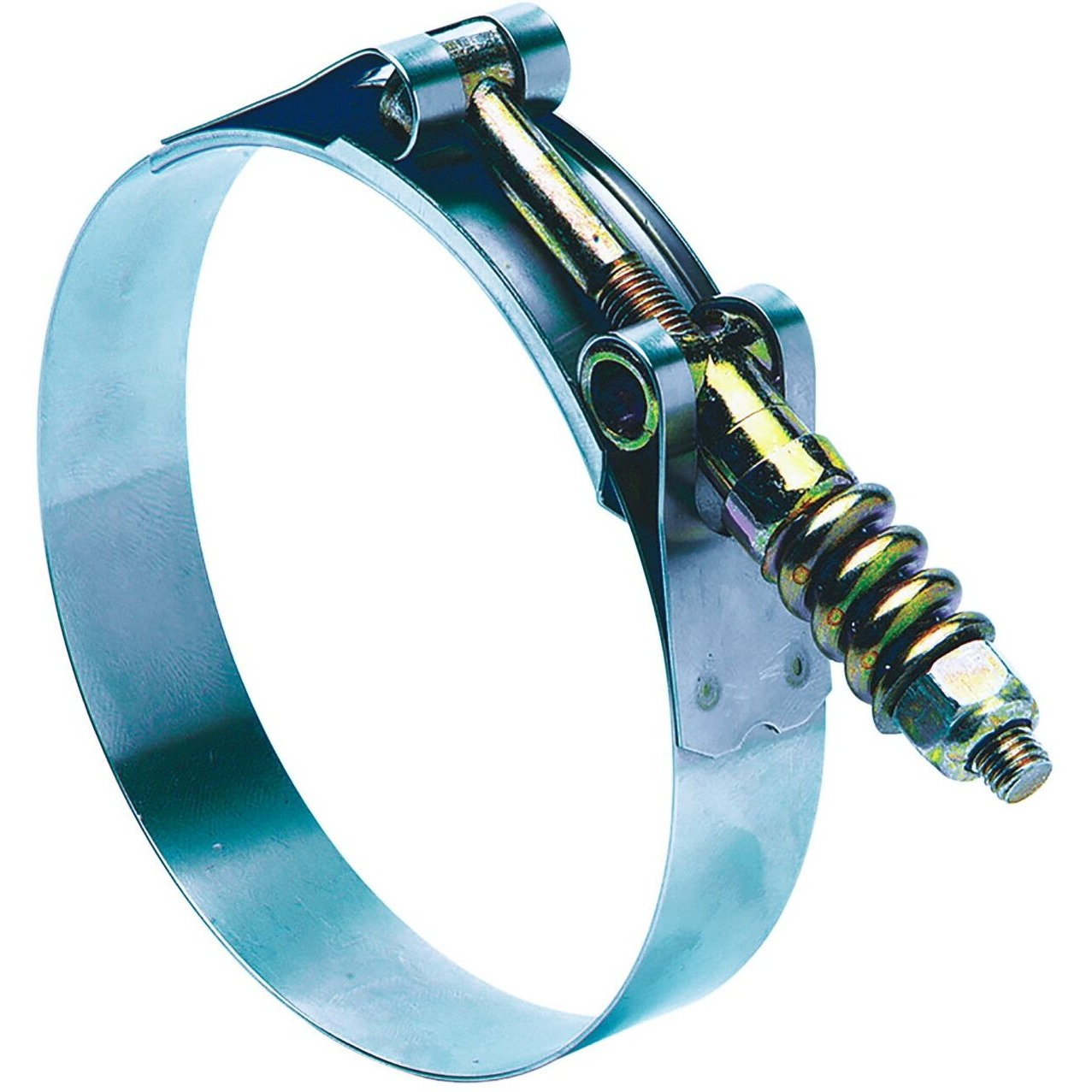 TBOLT SPRG HSCLMP SAE102(Pack of 1)