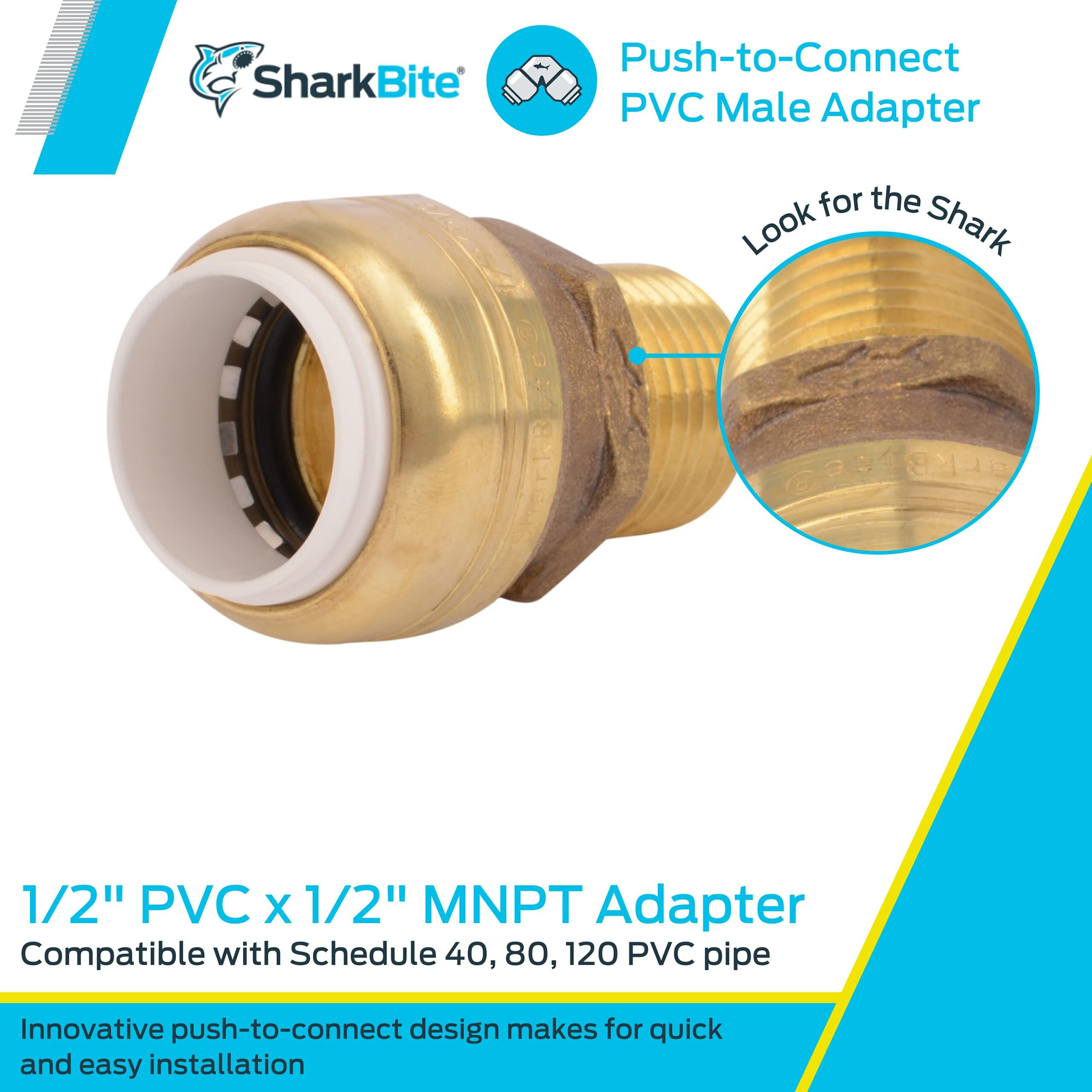 MALECONN 1/2&quotIPSXMNPT SB (Pack of 1)