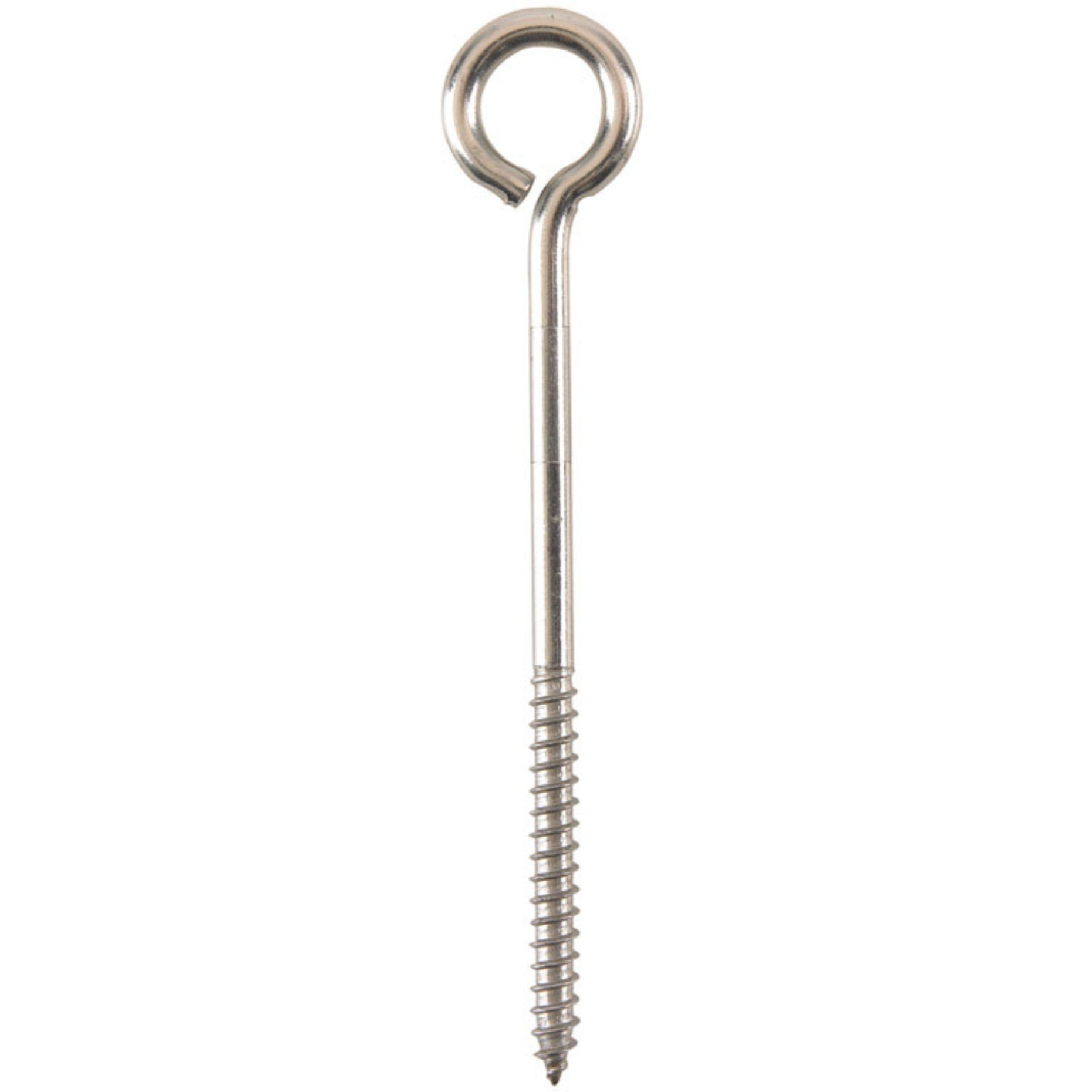 BOLT EYE LAG 1/4"&quotX5"" SS (Pack of 5)