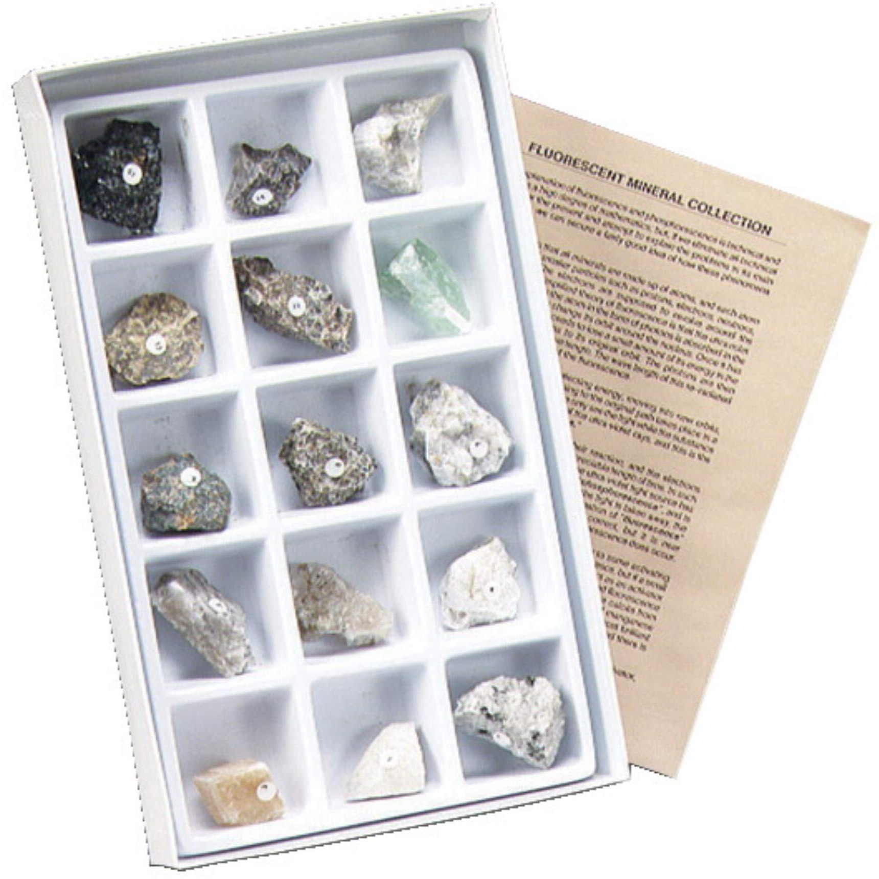 Geoscience Intro to Fluorescent Minerals Collection, Assorted, Set of 15