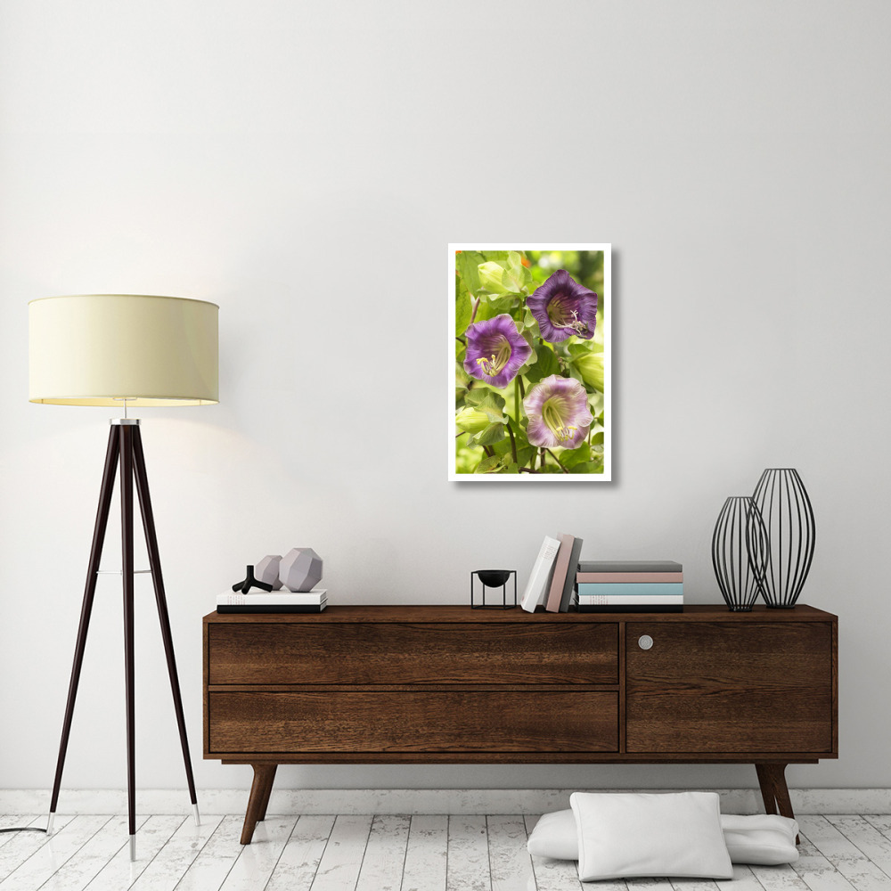 Cup-and-saucer Vine flowers-Paper Art-22&quotx32"