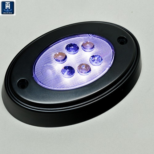 BLACK OVAL COURTESY LED W/ MNT RING