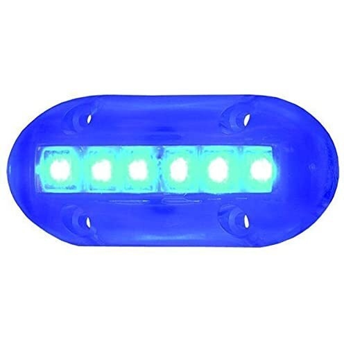 WHITE OVAL COURTESY LED W/ MNT RING
