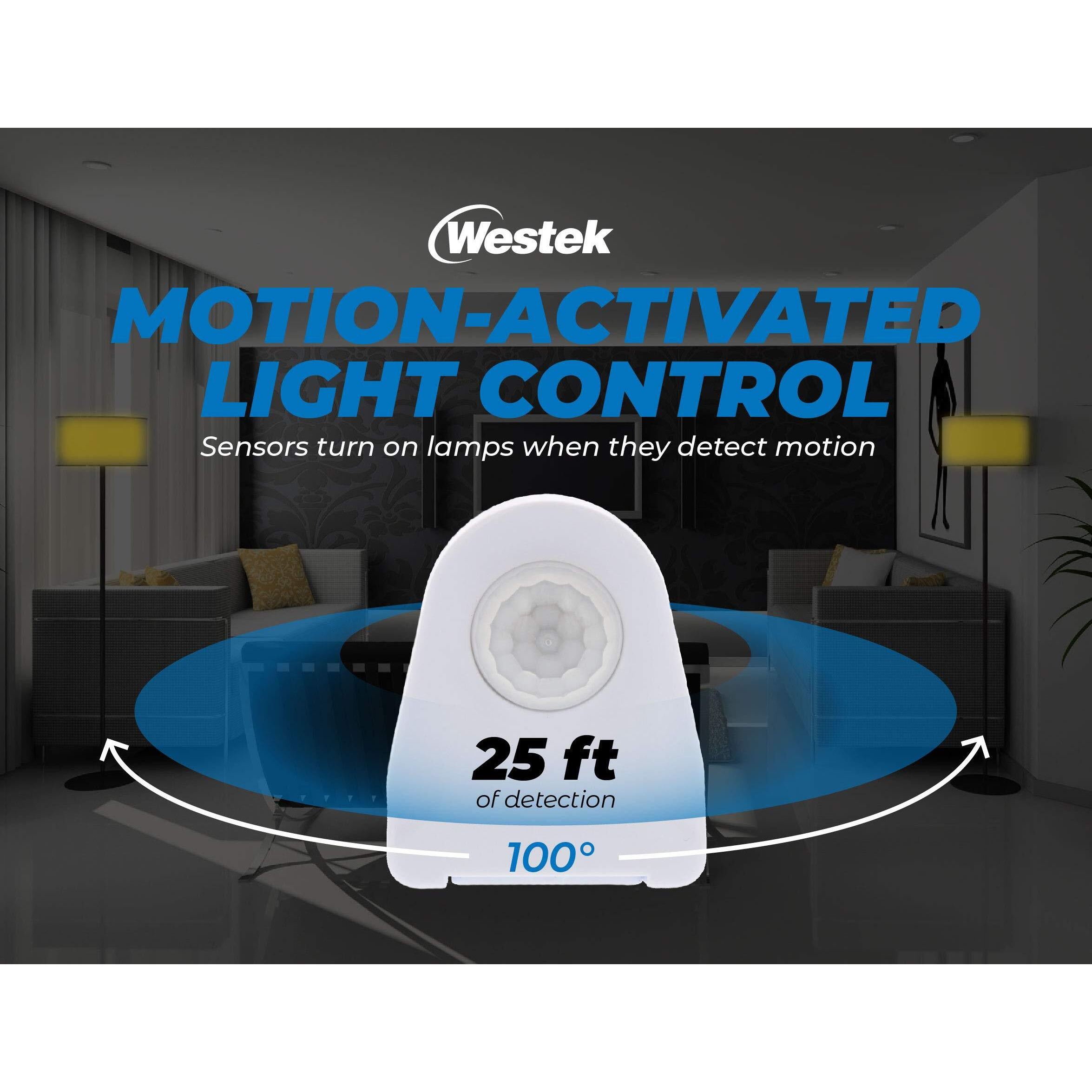 CORD MOTN LITE CONTROL (Pack of 1)