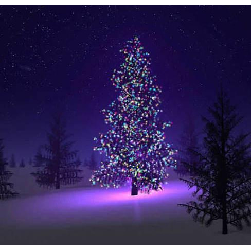 Colorful Firefly - Solar mini LED Christmas lights on Strings(D0102HPIJFW.)