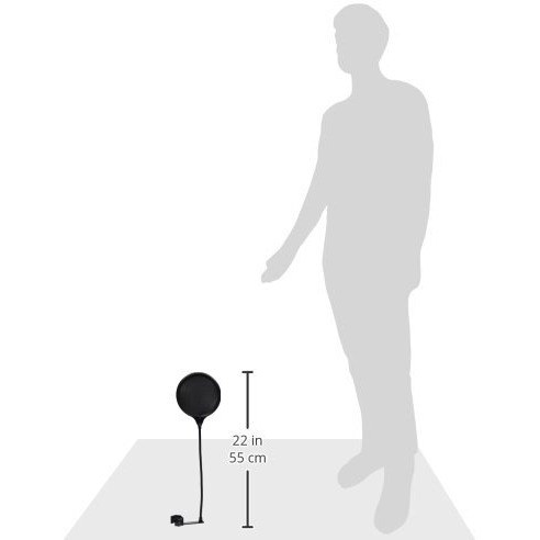 Dual-Screen Pop Blocker