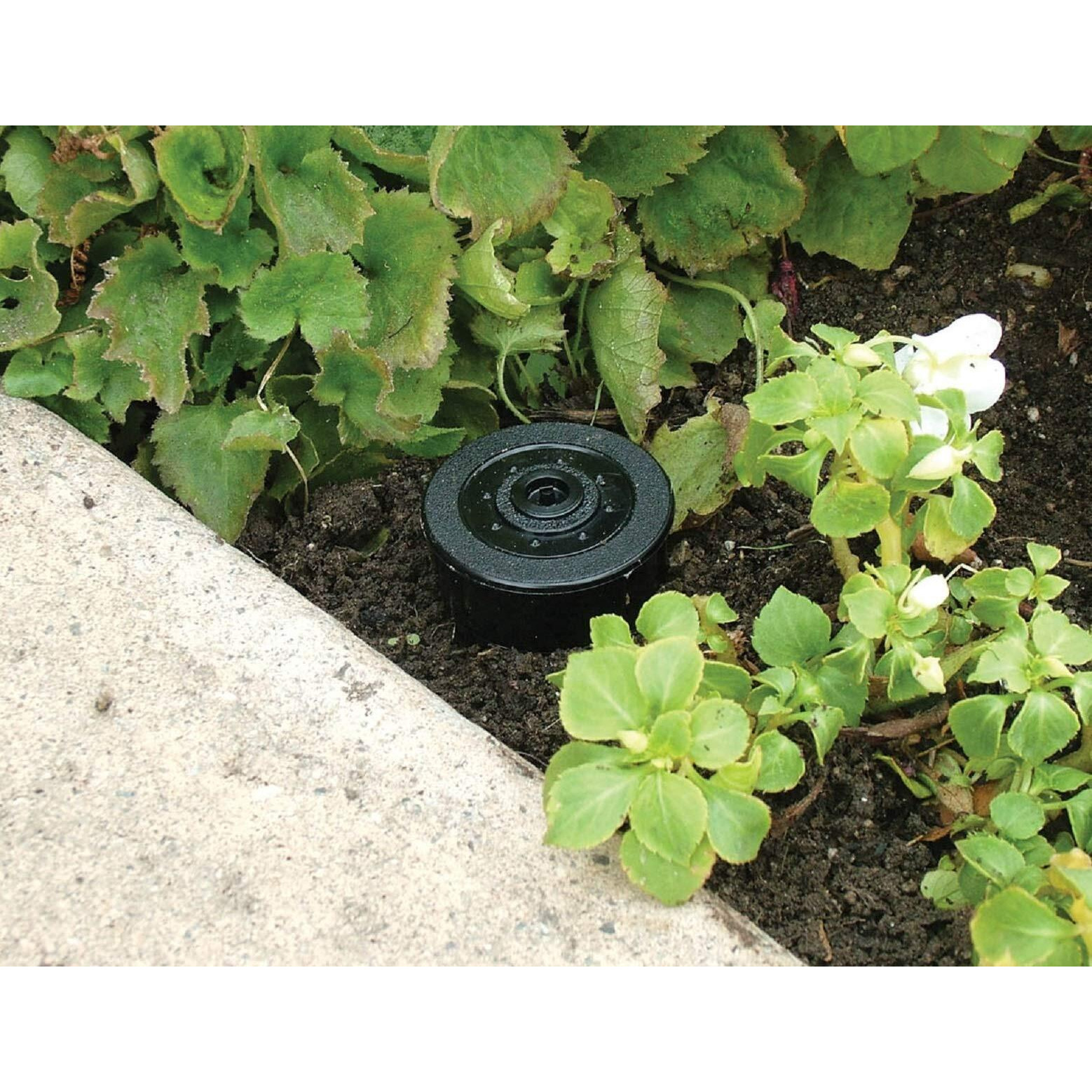 SPRINKLER KEY HIDER(Pack of 1)