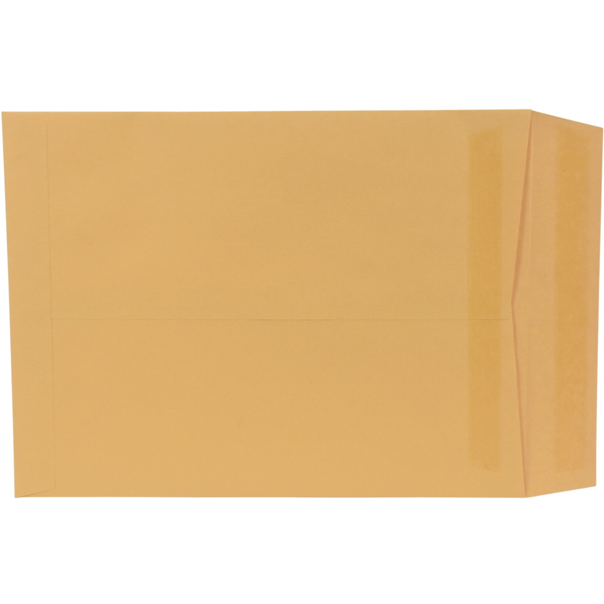 School Smart Grip Seal Envelopes, 9 x 12 Inches, Kraft, Pack of 100