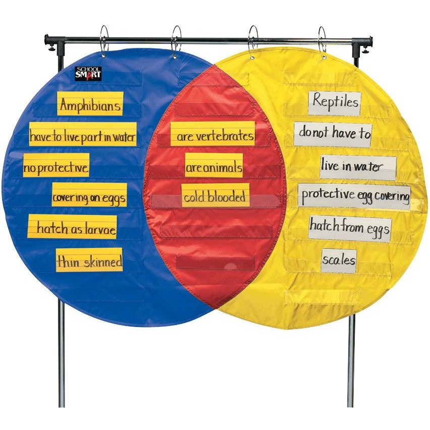 School Smart Venn Diagram Pocket Chart