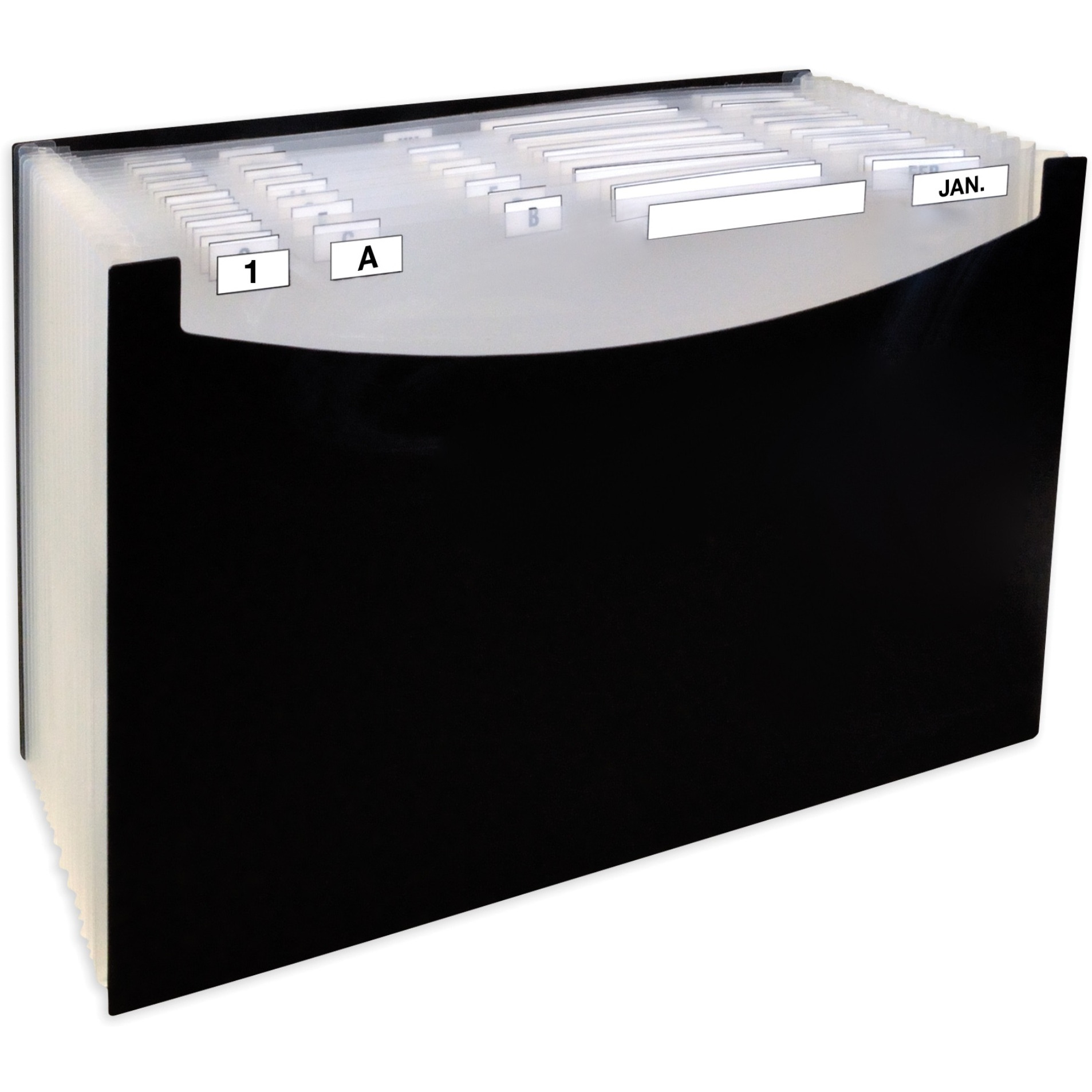 21-Pocket Stand-Up Design Expanding File, Black, Legal Size, 1/EA, 48221