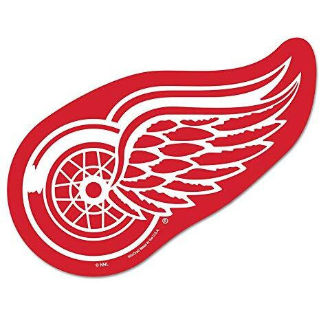 Detroit Red Wings Logo on the GoGo