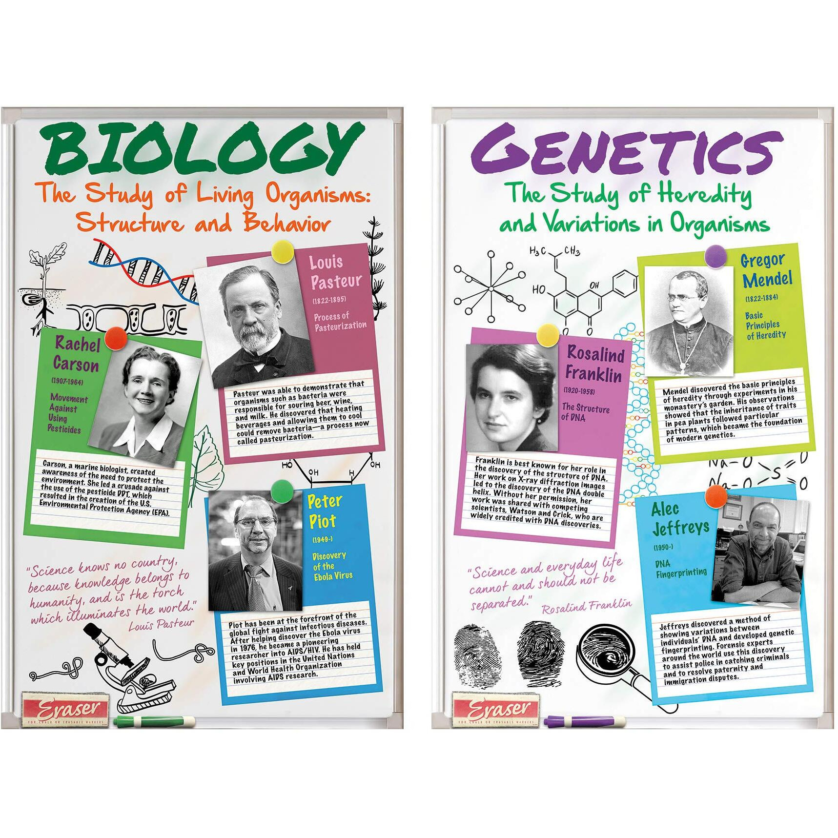 SCIENTISTS BULLETIN BOARD SET