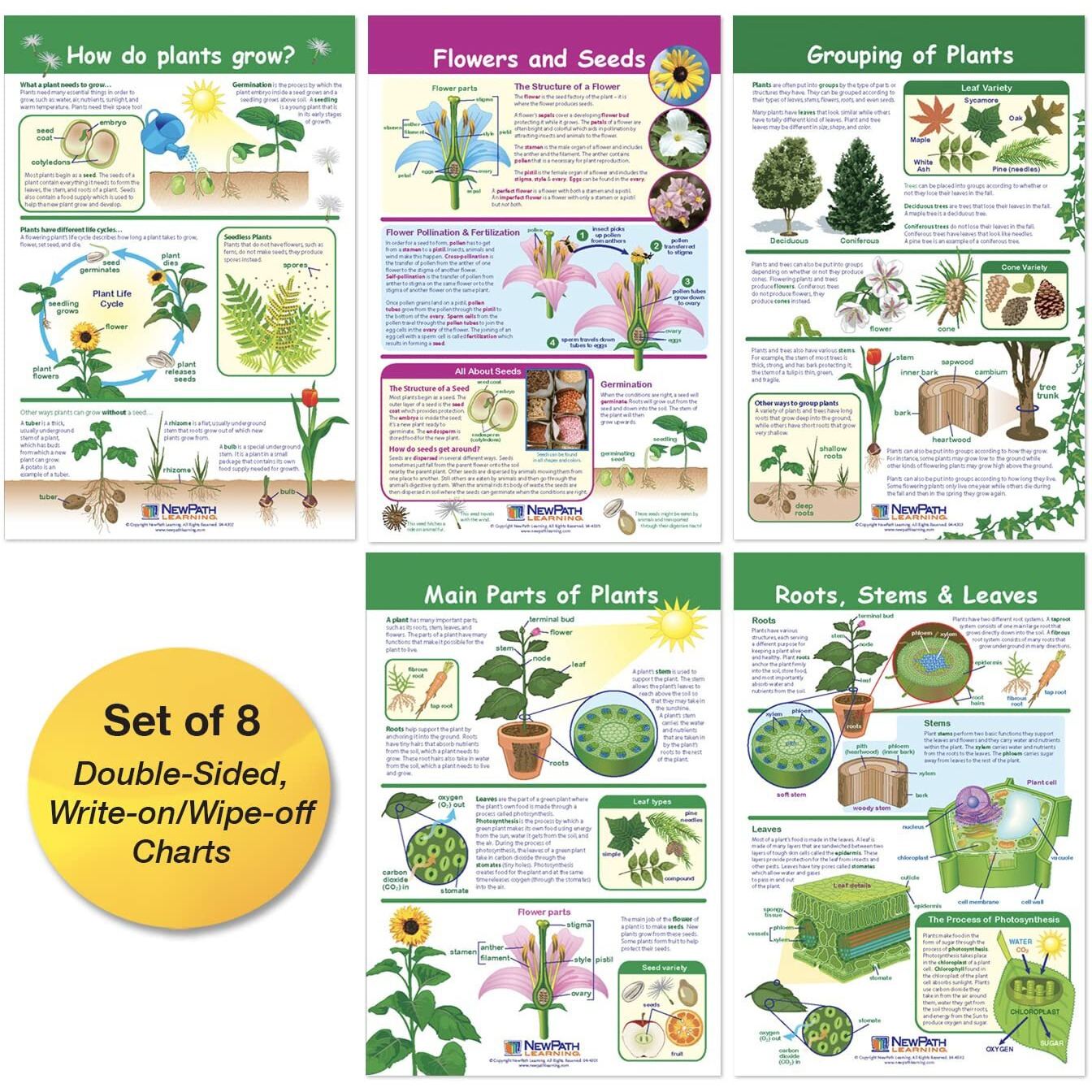 ALL ABOUT PLANTS SET OF 5