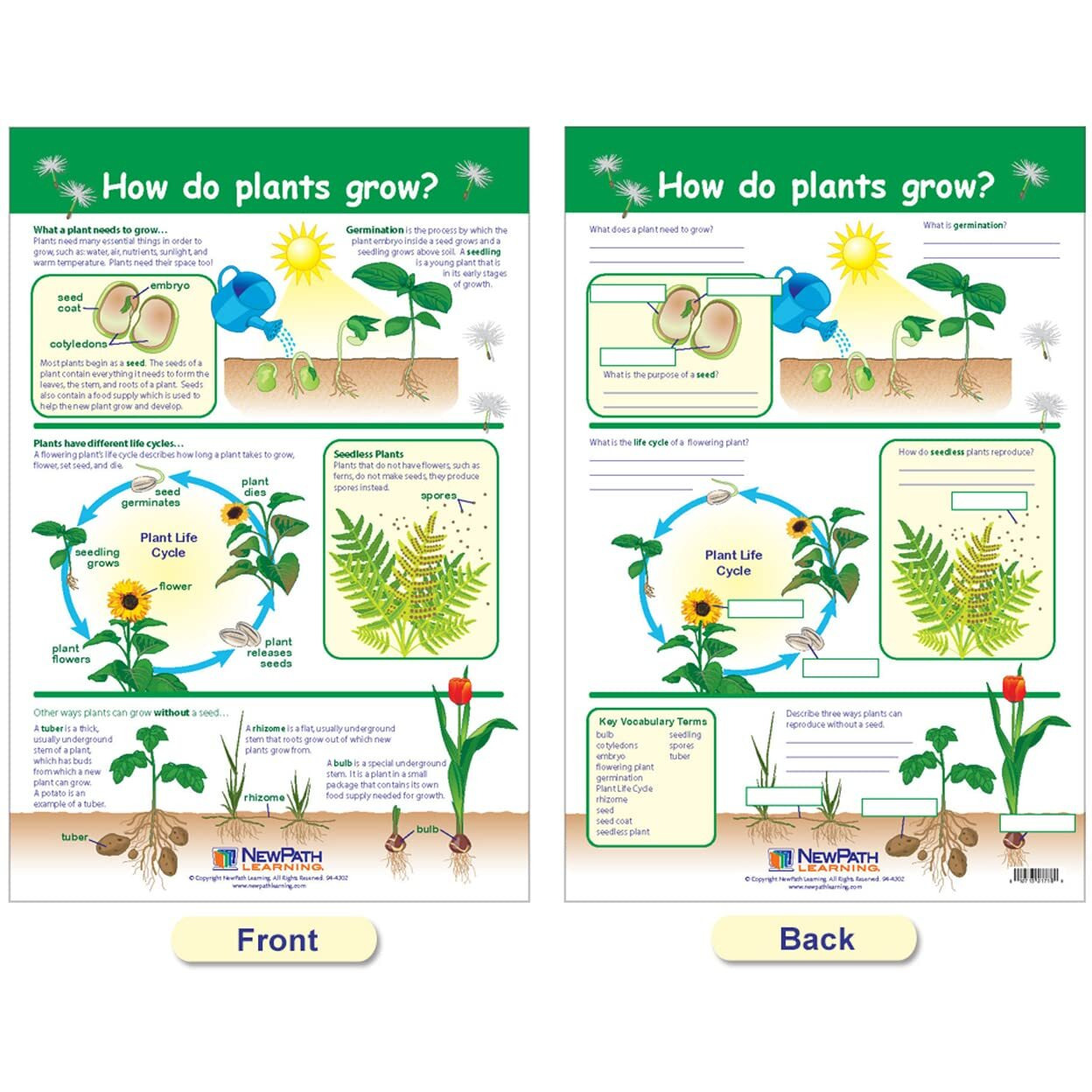 ALL ABOUT PLANTS SET OF 5