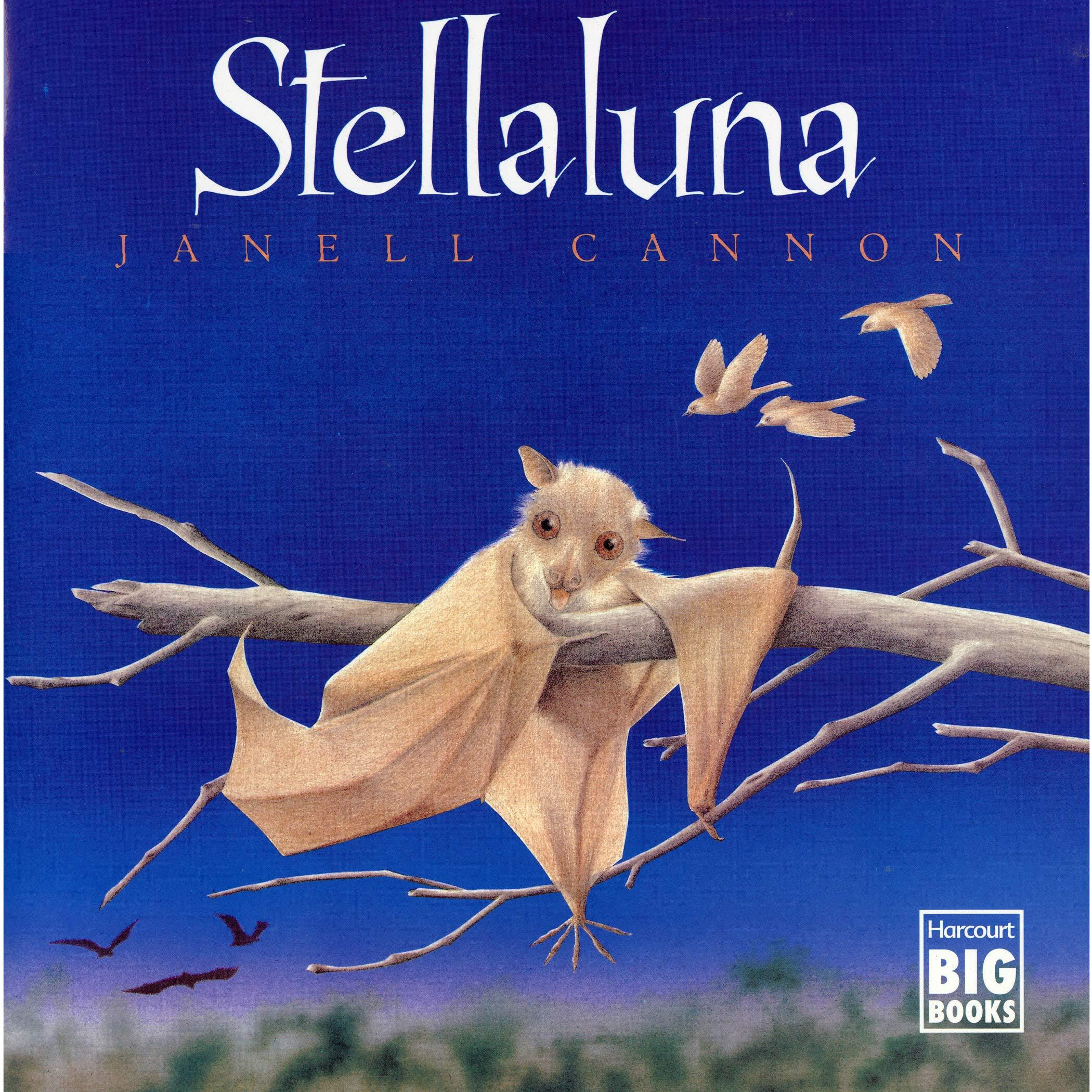 STELLALUNA BIG BOOK