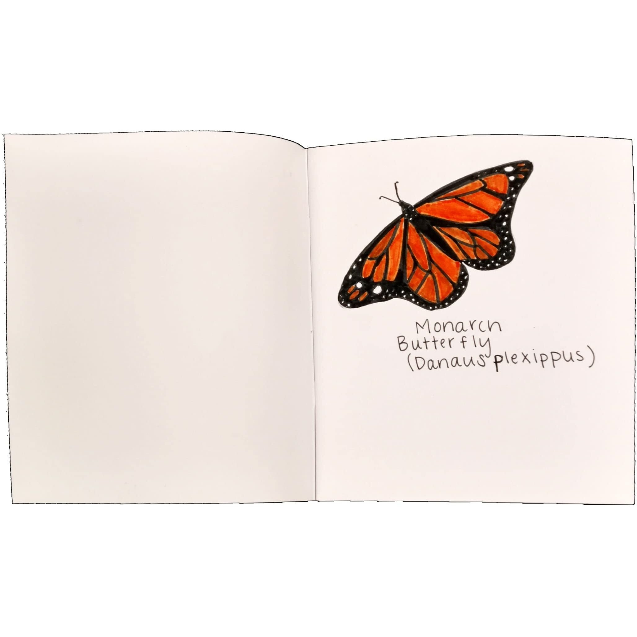 BLANK 7X8.5 BOOK 12 PACK SOFT COVER