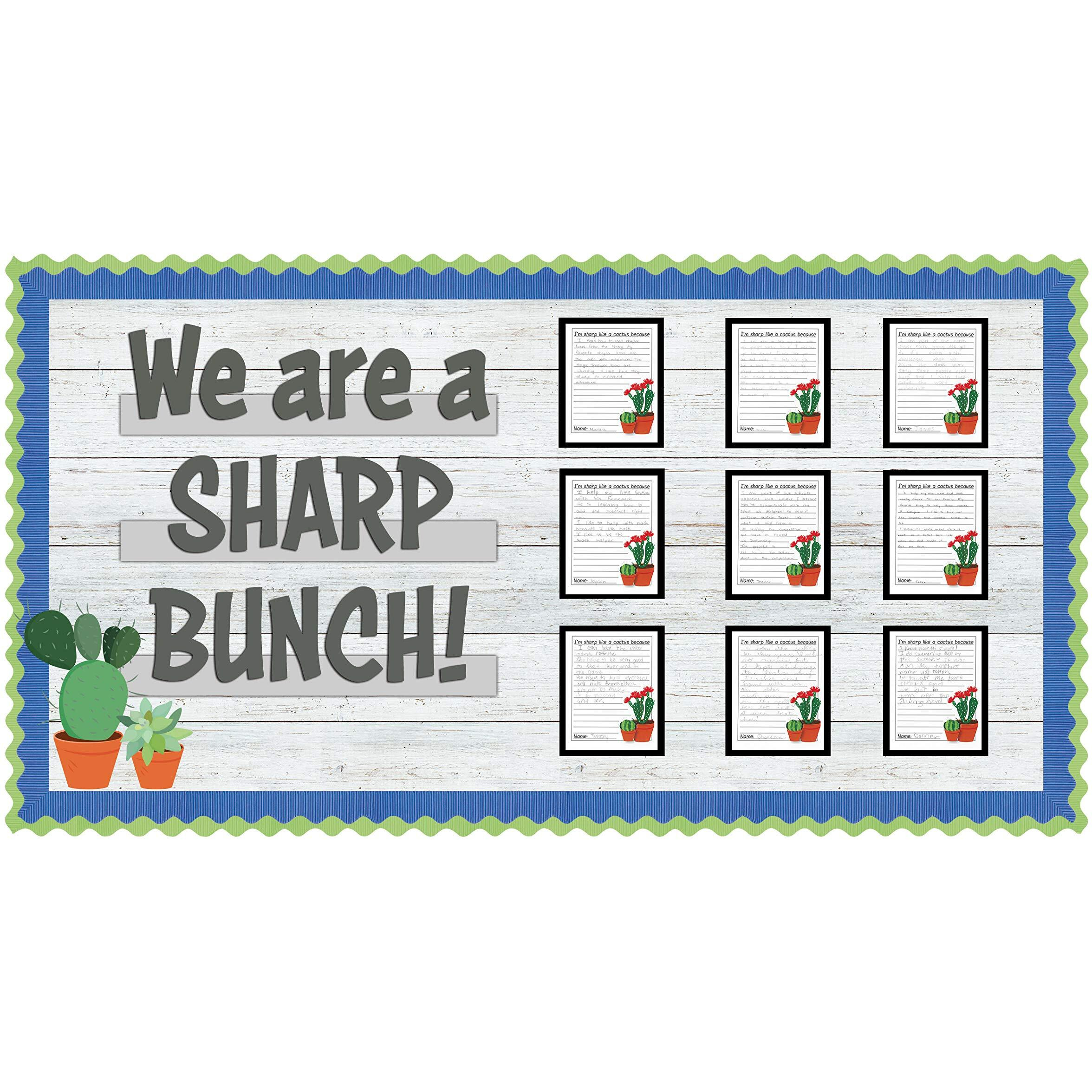 Fadeless Shiplap Design Board Art Paper - Fun and Learning, Classroom, Bulletin Board, Display, Craft, Art, Table Skirting, Decoration - 48&quotHeight x 2&quotWidth x 50 ftLength - Shiplap Design - 1 / Roll -