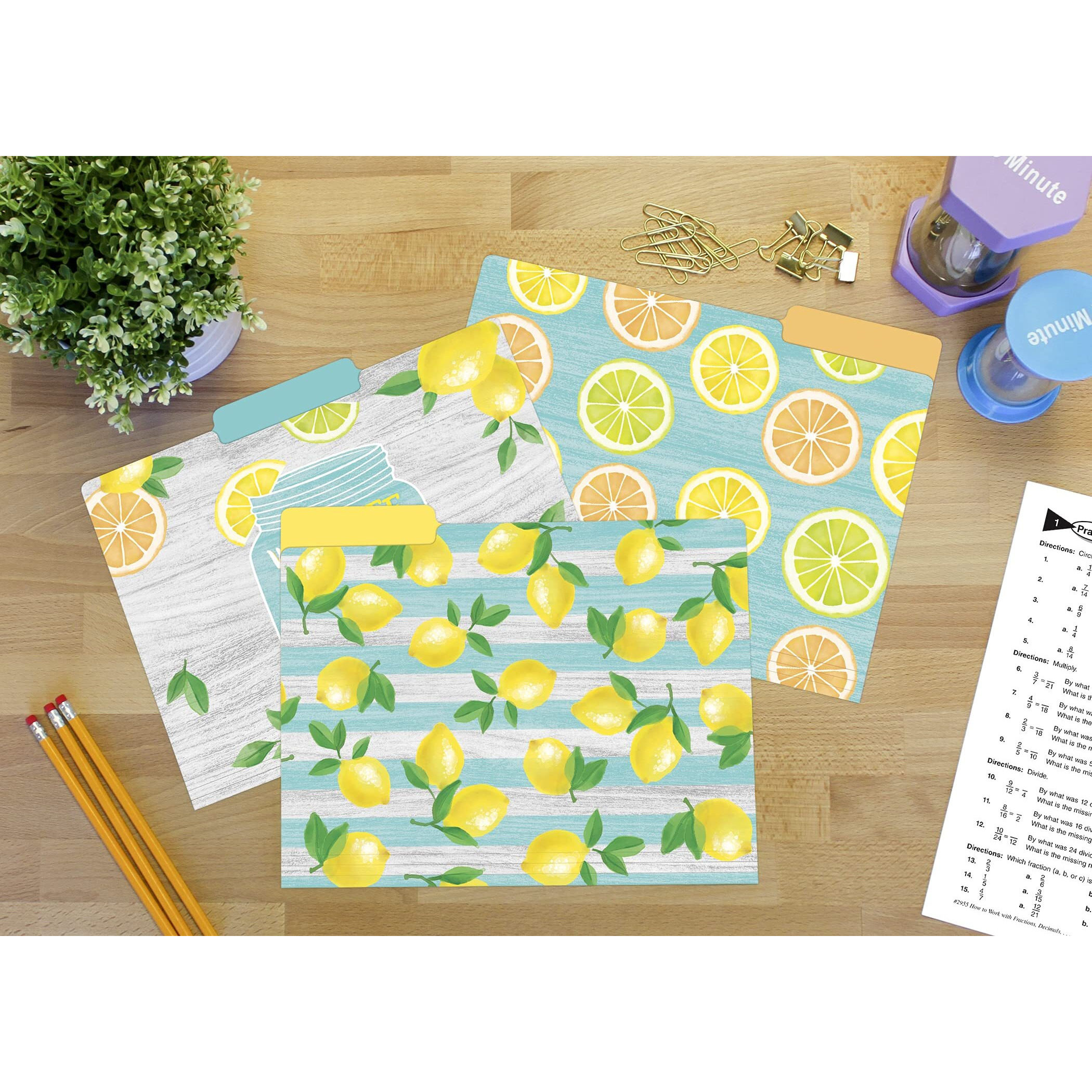 LEMON ZEST FILE FOLDERS