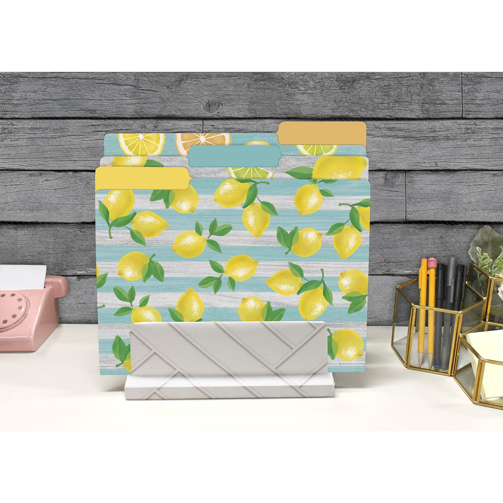 LEMON ZEST FILE FOLDERS