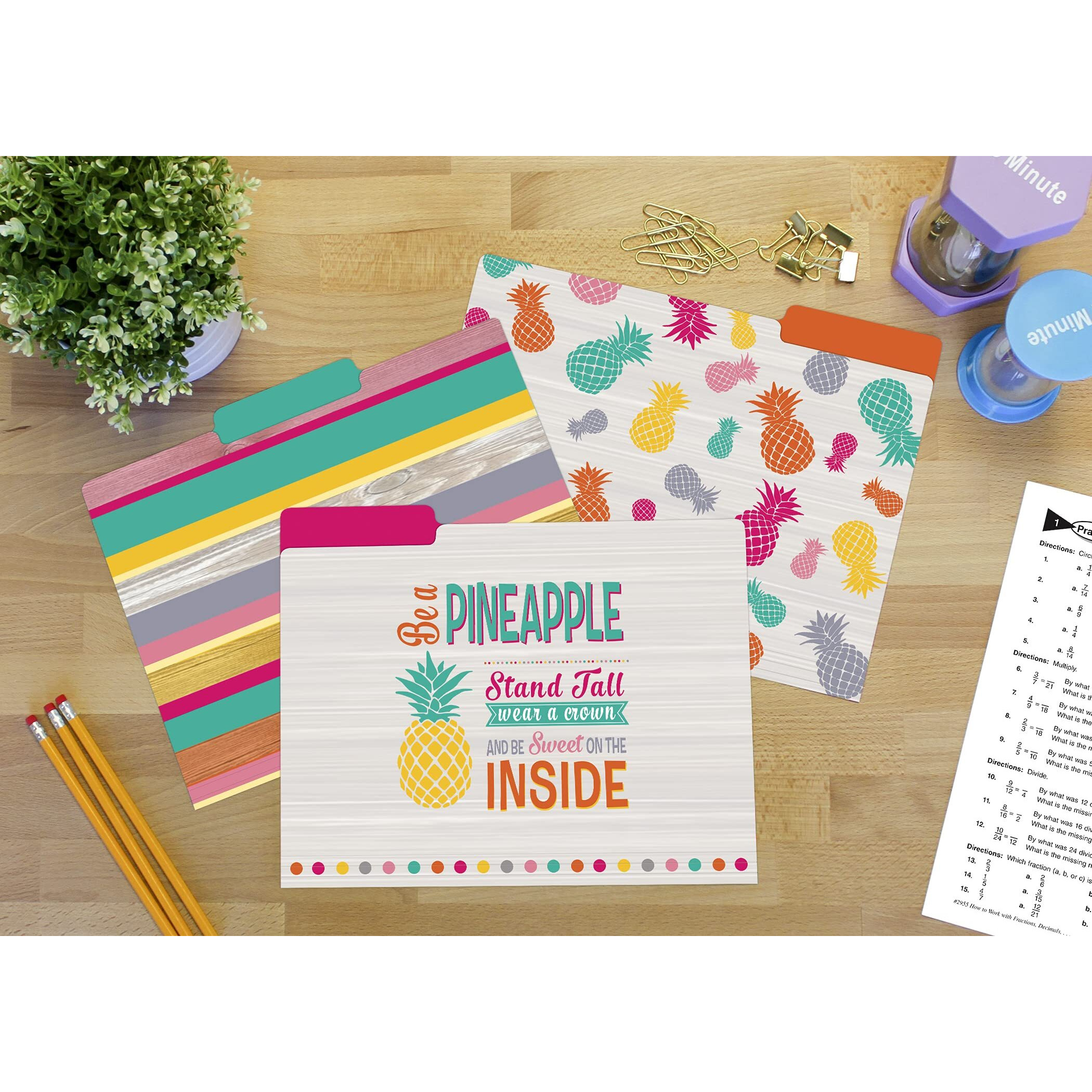 TROPICAL PUNCH FILE FOLDERS