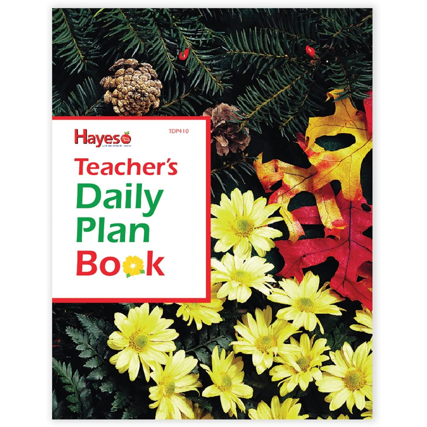 (3 EA) TEACHERS DAILY PLAN BOOK