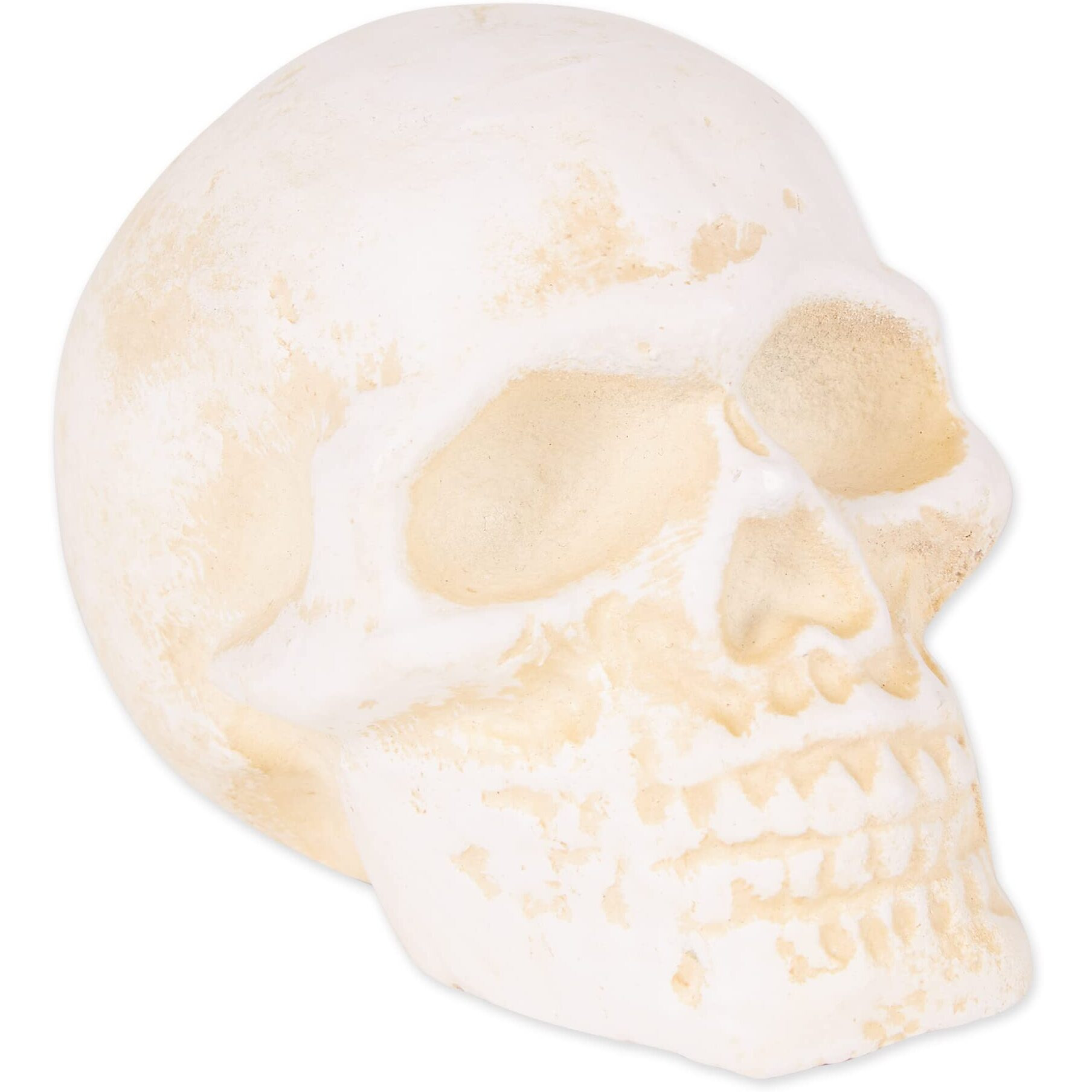 HUMAN SKULL CAST IRON PAPERWEIGHT