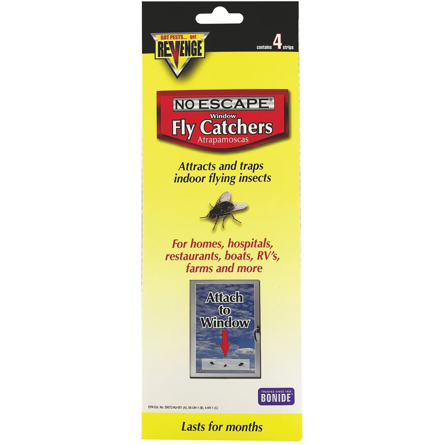 Window Fly Trap
