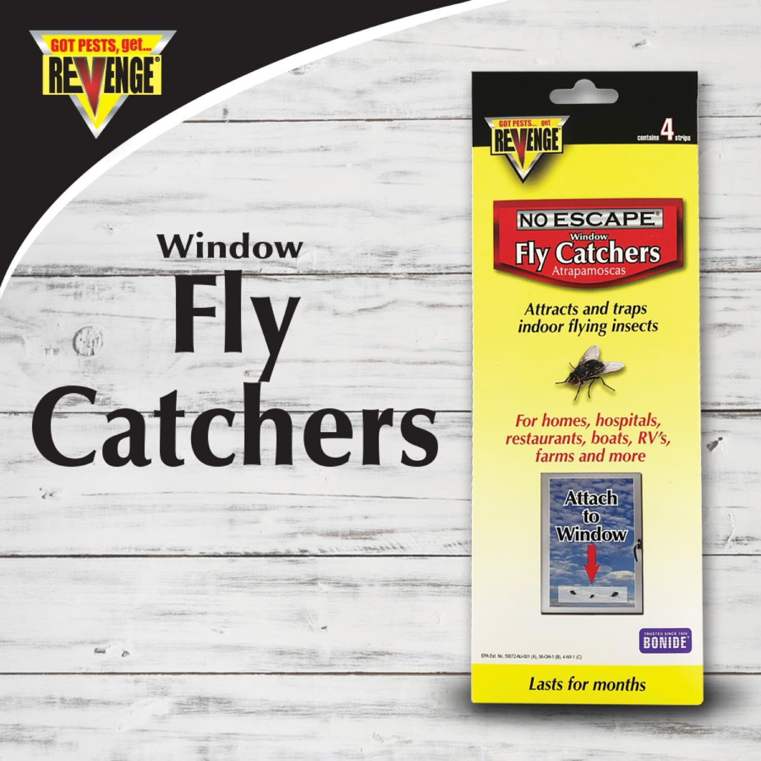 Window Fly Trap