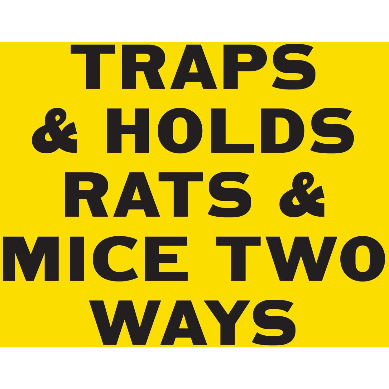 Pic Professional-Strength Rat & Mouse Glue Boards (2 Pack)
