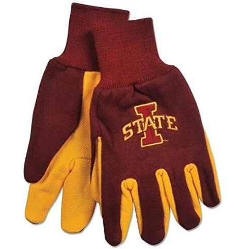 Iowa State Cyclones Two Tone Gloves - Adult