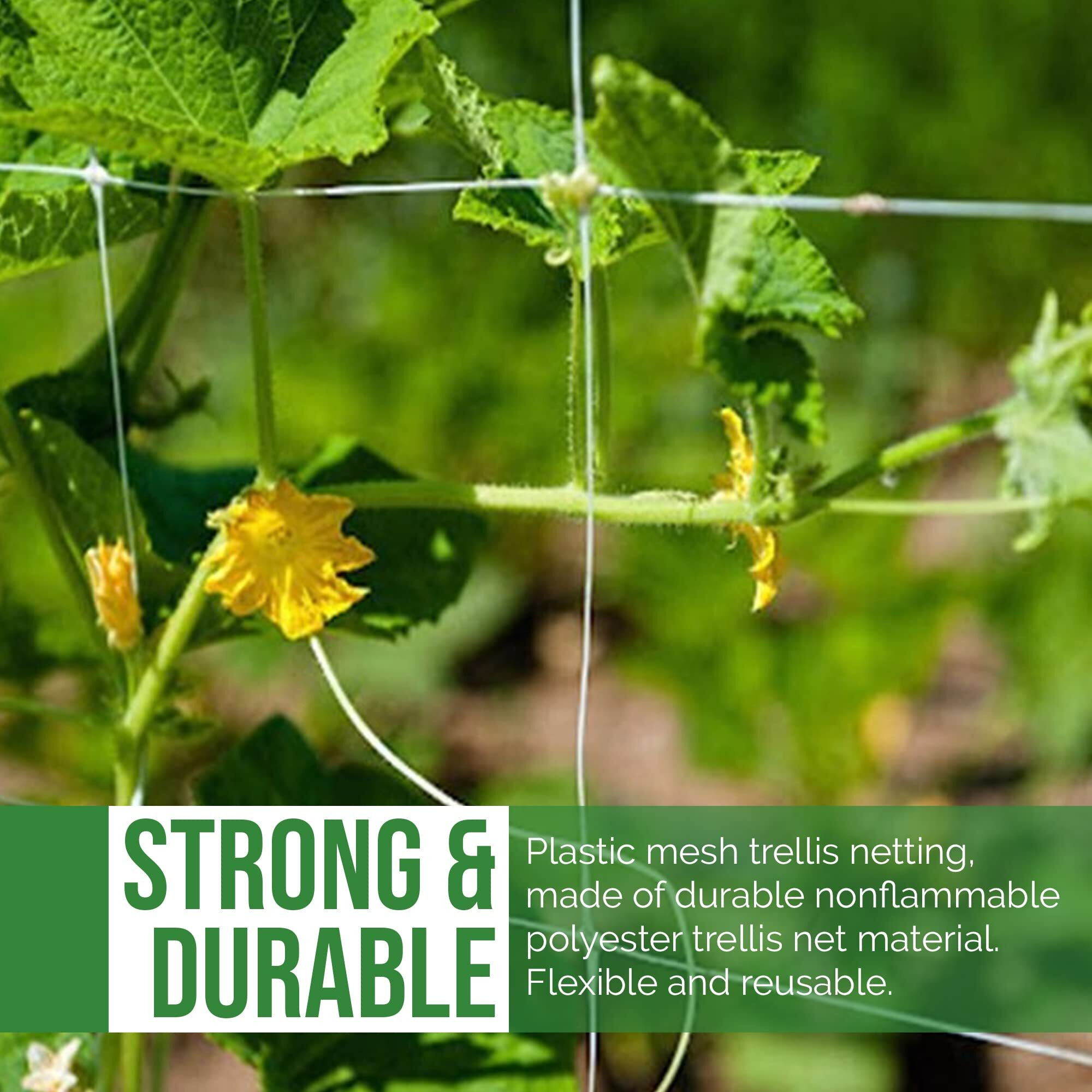 5'x30' Trellis Netting White 6