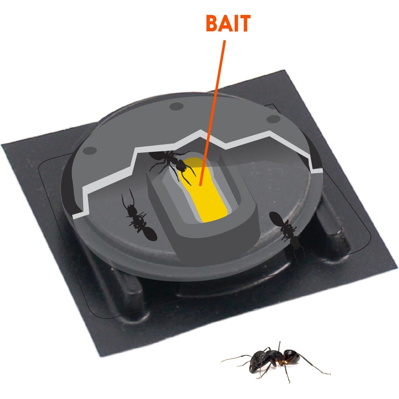 Home Plus Ant Killer Plastic Bait Stations, 4 Count