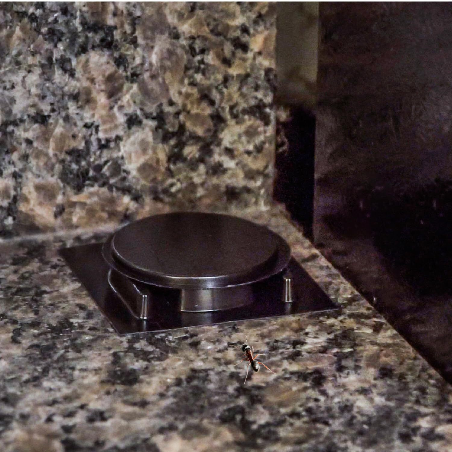 Home Plus Ant Killer Plastic Bait Stations, 4 Count