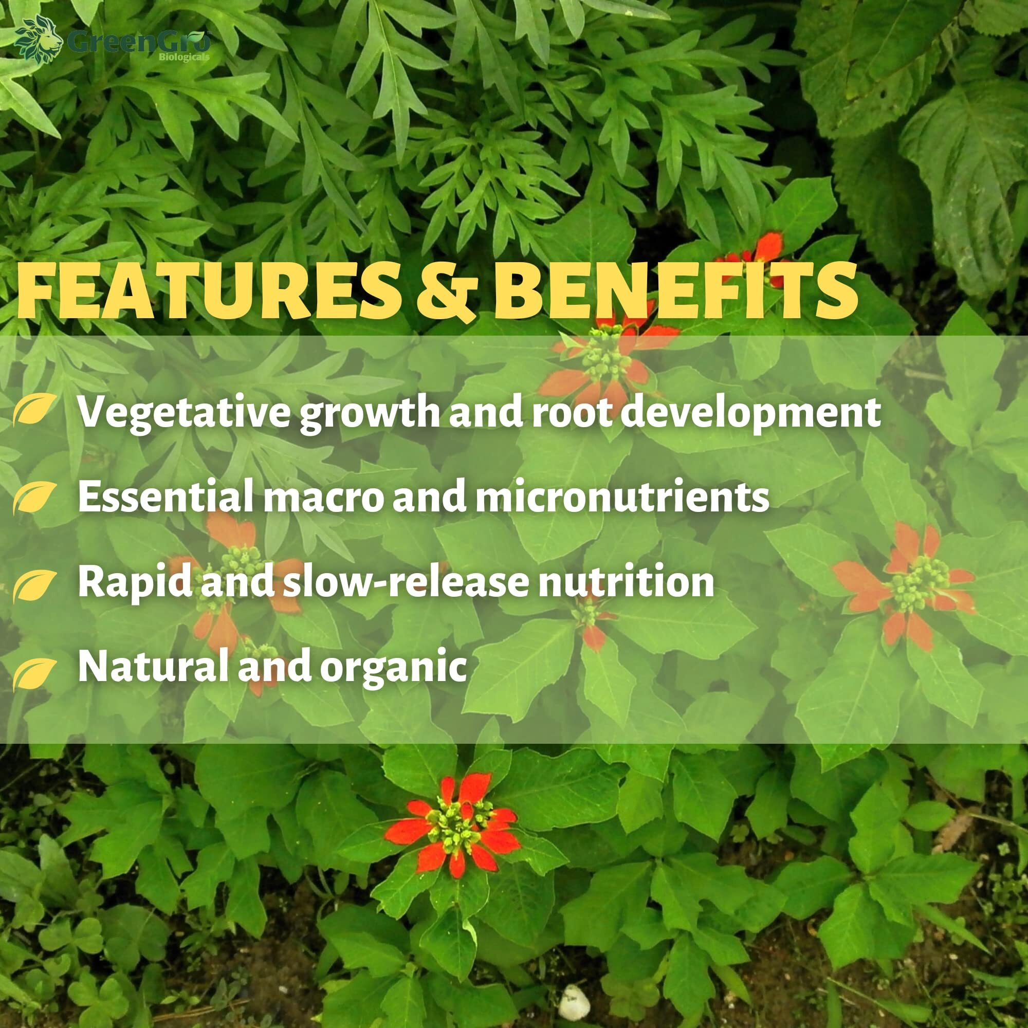 Green Gro Pride Lands Veg 5lb