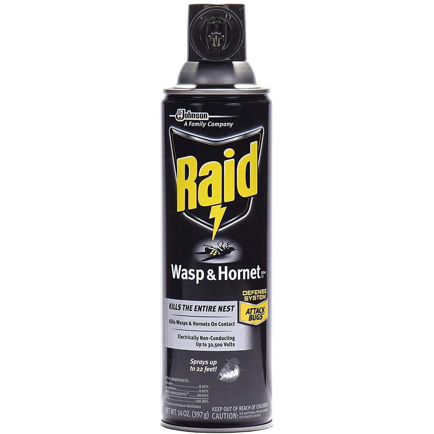 Raid Wasp Hornet Killer Spray (14 Ounce (Pack of 1)