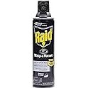 Raid Wasp Hornet Killer Spray (14 Ounce (Pack of 1)