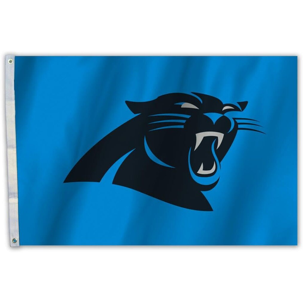 Carolina Panthers Flag 2x3 CO
