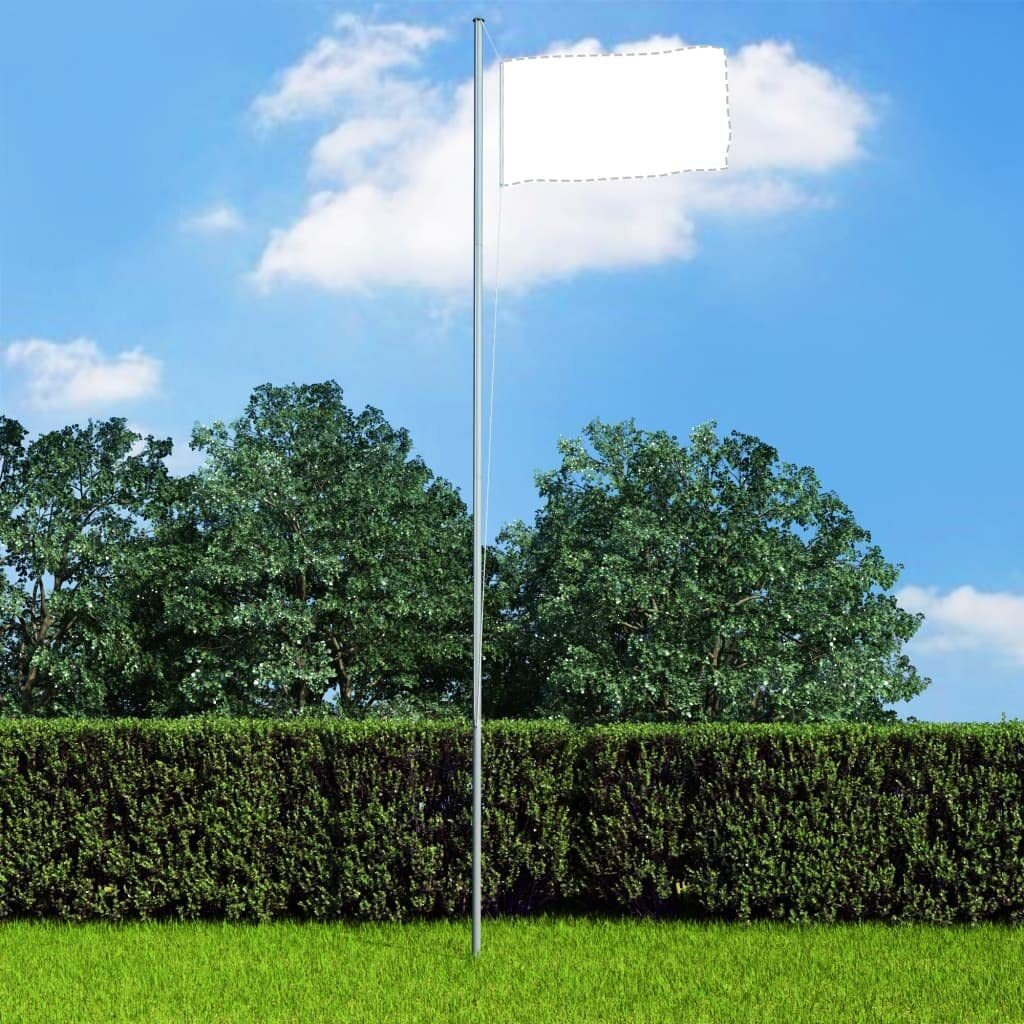 vidaXL Sectional Flagpole Aluminum 20.3'
