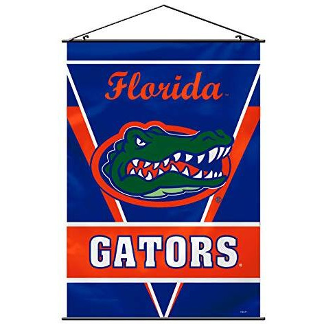 Florida Gators Banner 28x40 Wall Style CO