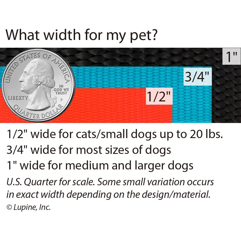 DOG LEASH 6FT 3/4" RED (Pack of 1)