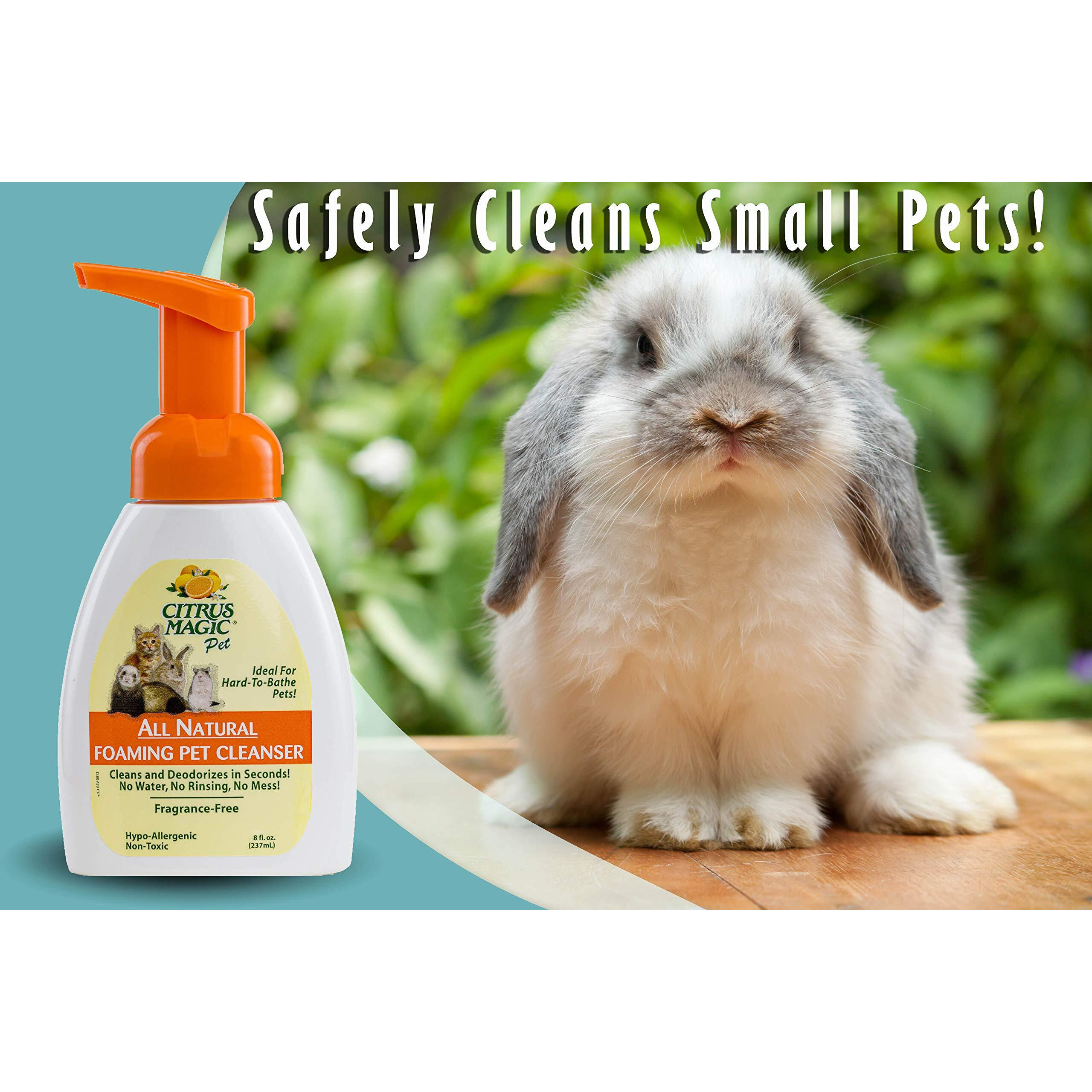 Citrus Magic Pet Rinse-Free Pet Shampoo, 8-Fluid Ounce