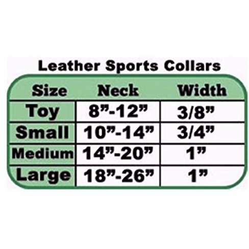 Texas Longhorns Pet Collar Leather Classic Football Size Medium CO
